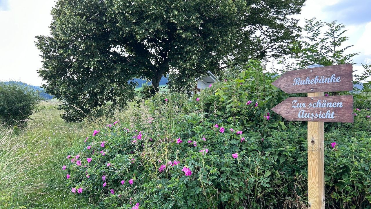 Landschaft Landschaft